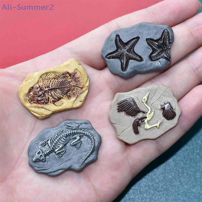 Mini Dinosaur Fossil Model Set - Vintage Collectible Dolls incelemesi ve fiyatı
